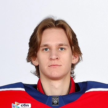 Дмитрий Гамзин